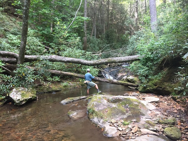 img_9297_zps84nl2ajm