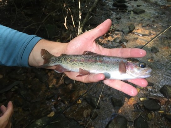 img_9301_zpsanz20i2v