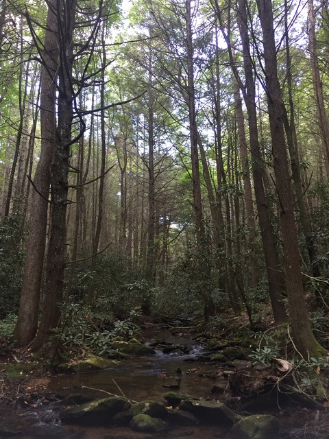 img_9307_zpsq30qwyd4