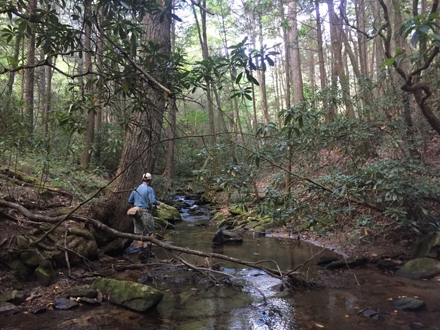 img_9308_zpsftxjae0h