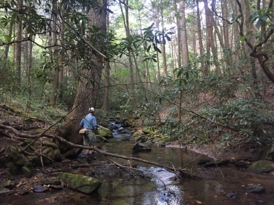 img_9308_zpsftxjae0h