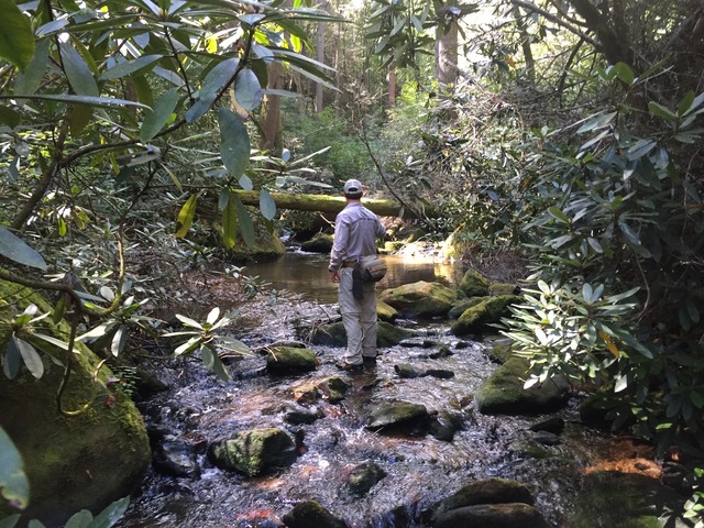 img_9325_zpswh2sytwn