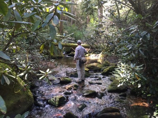 img_9325_zpswh2sytwn