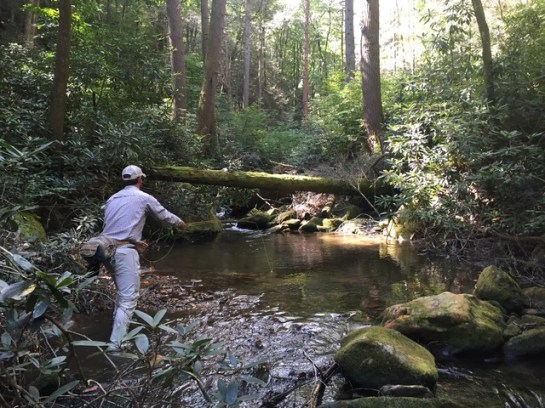 img_9328_zpshunb8nti