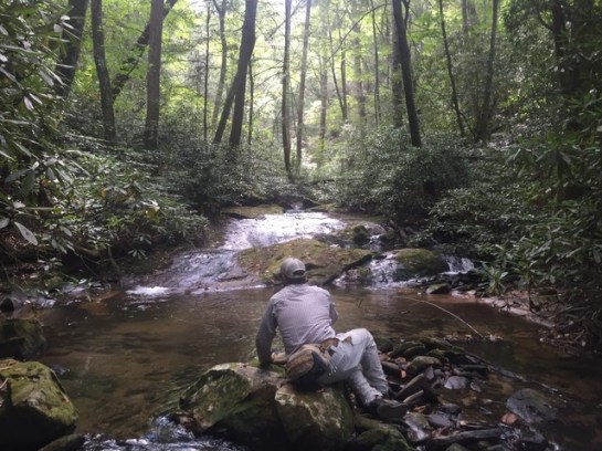 img_9339_zps2acwleoh