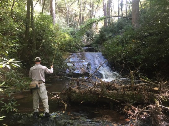 img_9353_zpsscx3c3vv