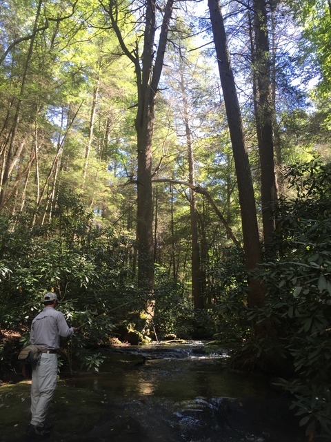 img_9357_zps224wdhxv