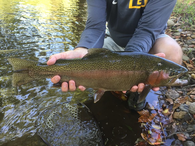 img_9368_zpsovvt8qnr