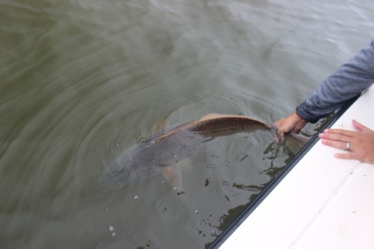 img_3459_zps19lvrgxg