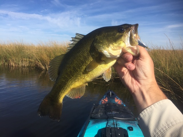 img_9787_zpsjvaawunm