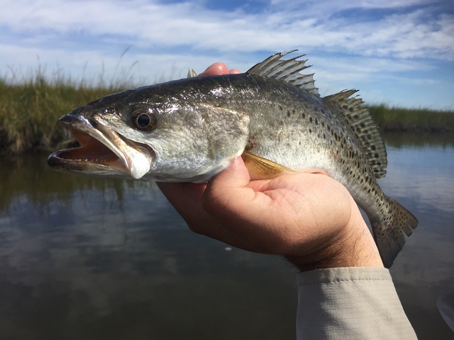 img_9804_zpsrxsywu7m