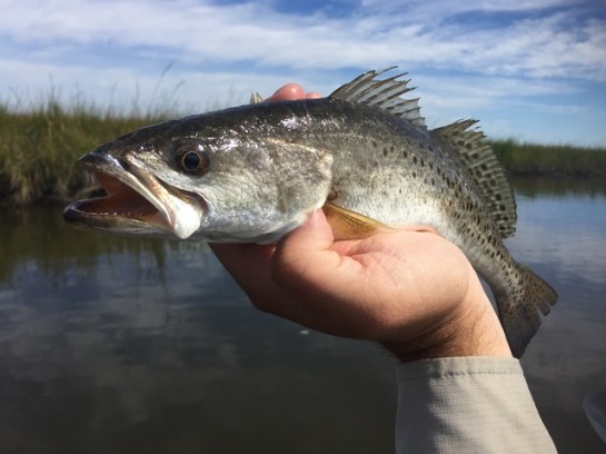 img_9804_zpsrxsywu7m