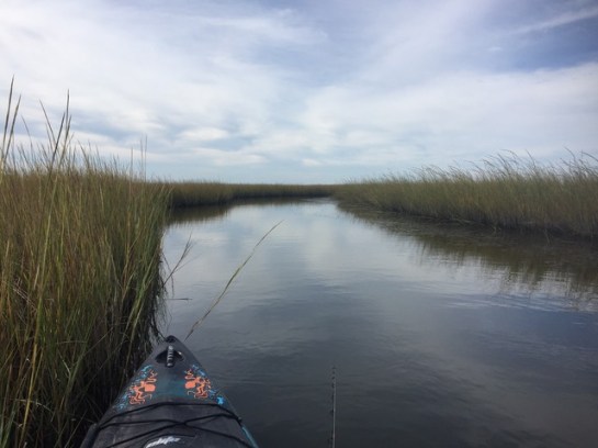 img_9811_zpsbs2t7kob