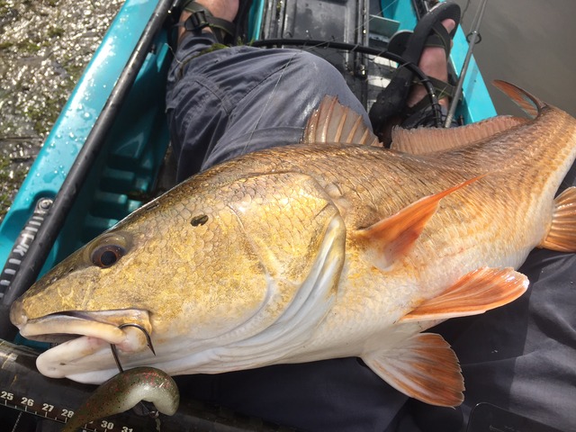 img_9831_zpsefk3t5jl