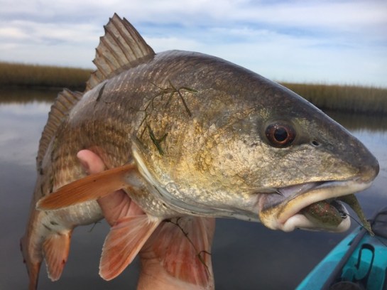 img_9840_zpsokx6dork