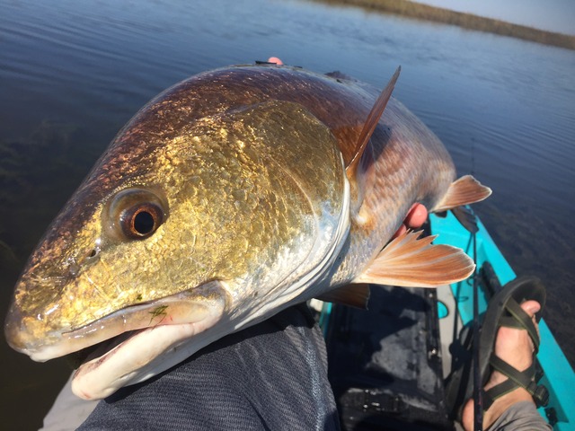 img_9860_zpsbx0n8r2h