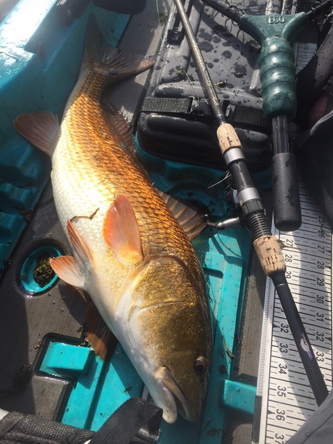 img_9889_zpsouuiqbab