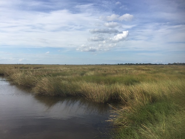 img_9896_zpsuiq5hstr