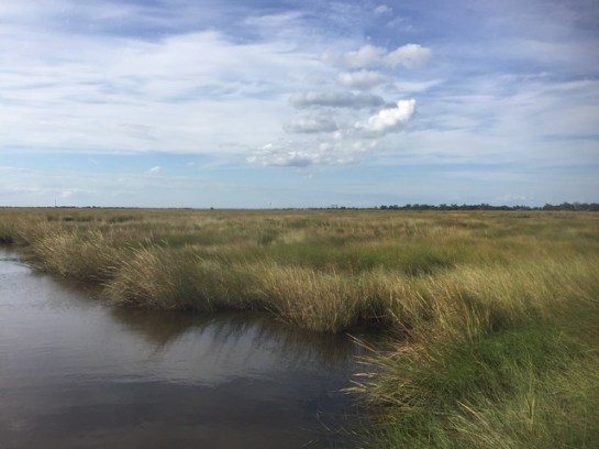 img_9896_zpsuiq5hstr