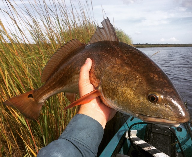 img_9903_zps3aaunnbn