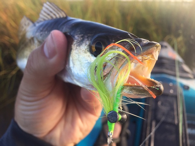 img_9928_zpsglc0yvt8