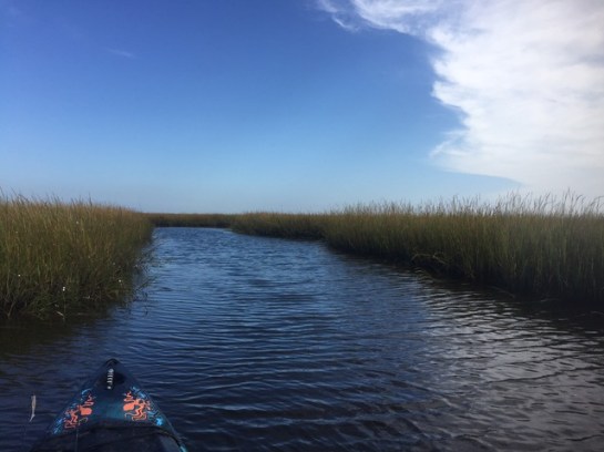 img_9936_zpssvhhlizo