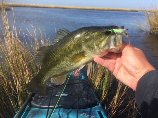 img_9937_zpsczzwkuso