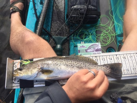 flytrout_102716_fishtaco_zpsgea7hhhk