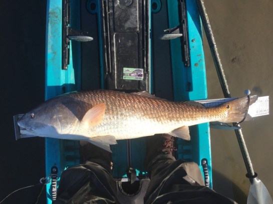 img_7387_zpsnsscyyj0