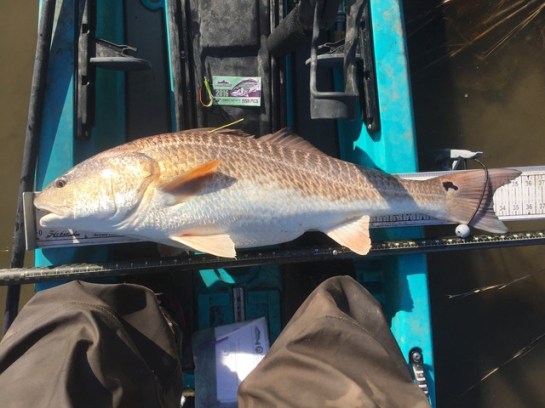 img_7407_zpsuwkxpstw