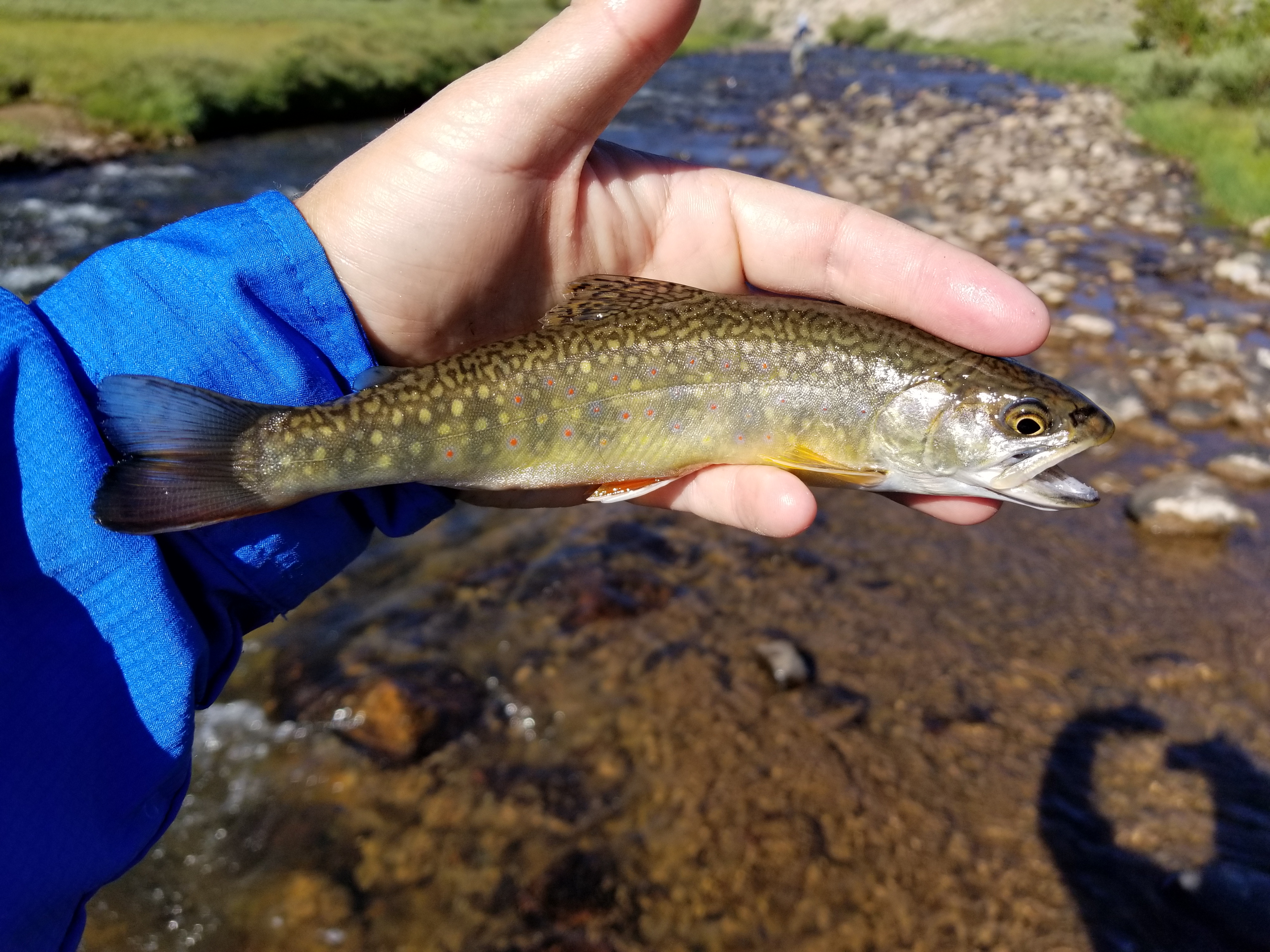 20170729_091844