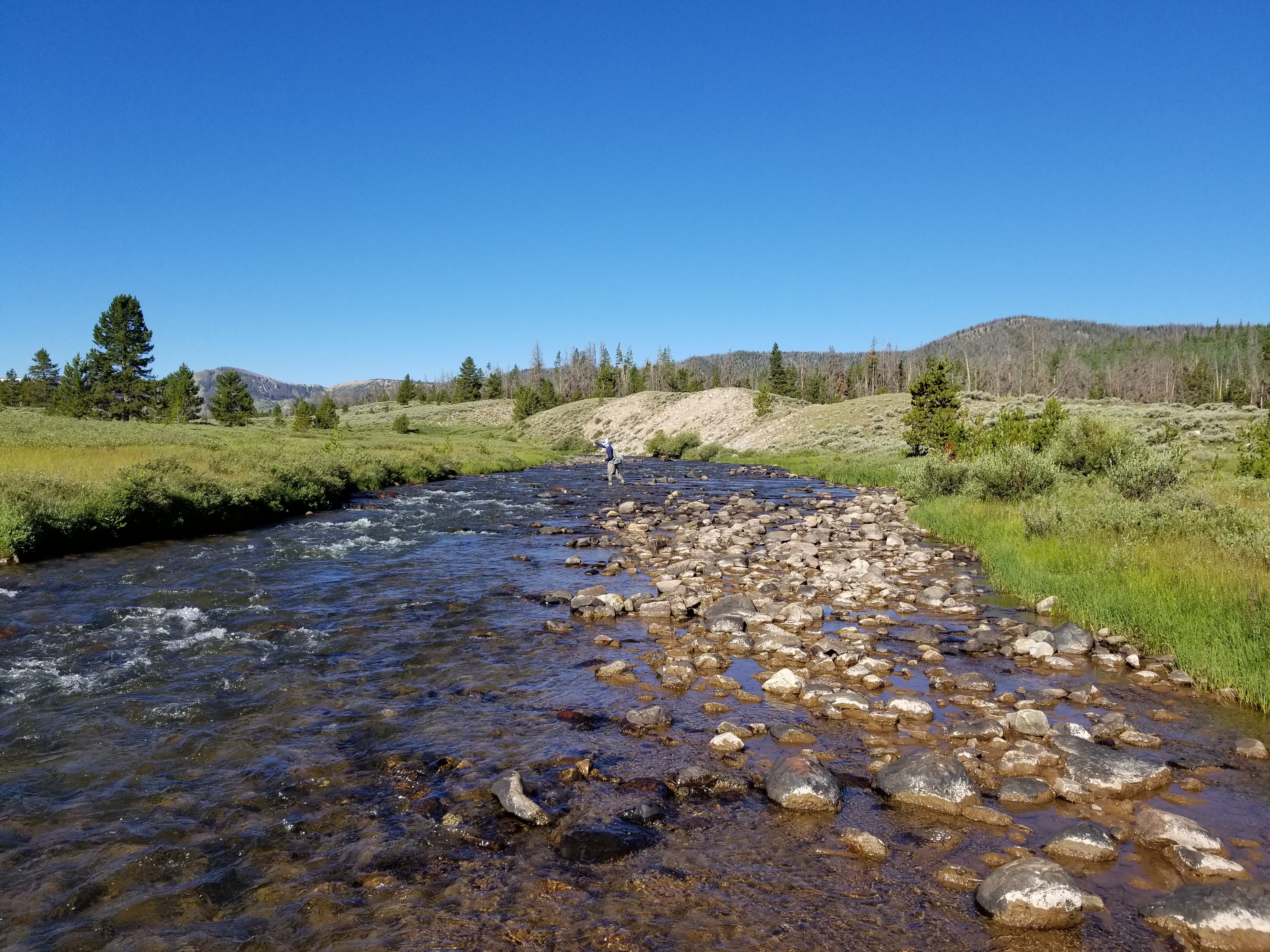 20170729_091851