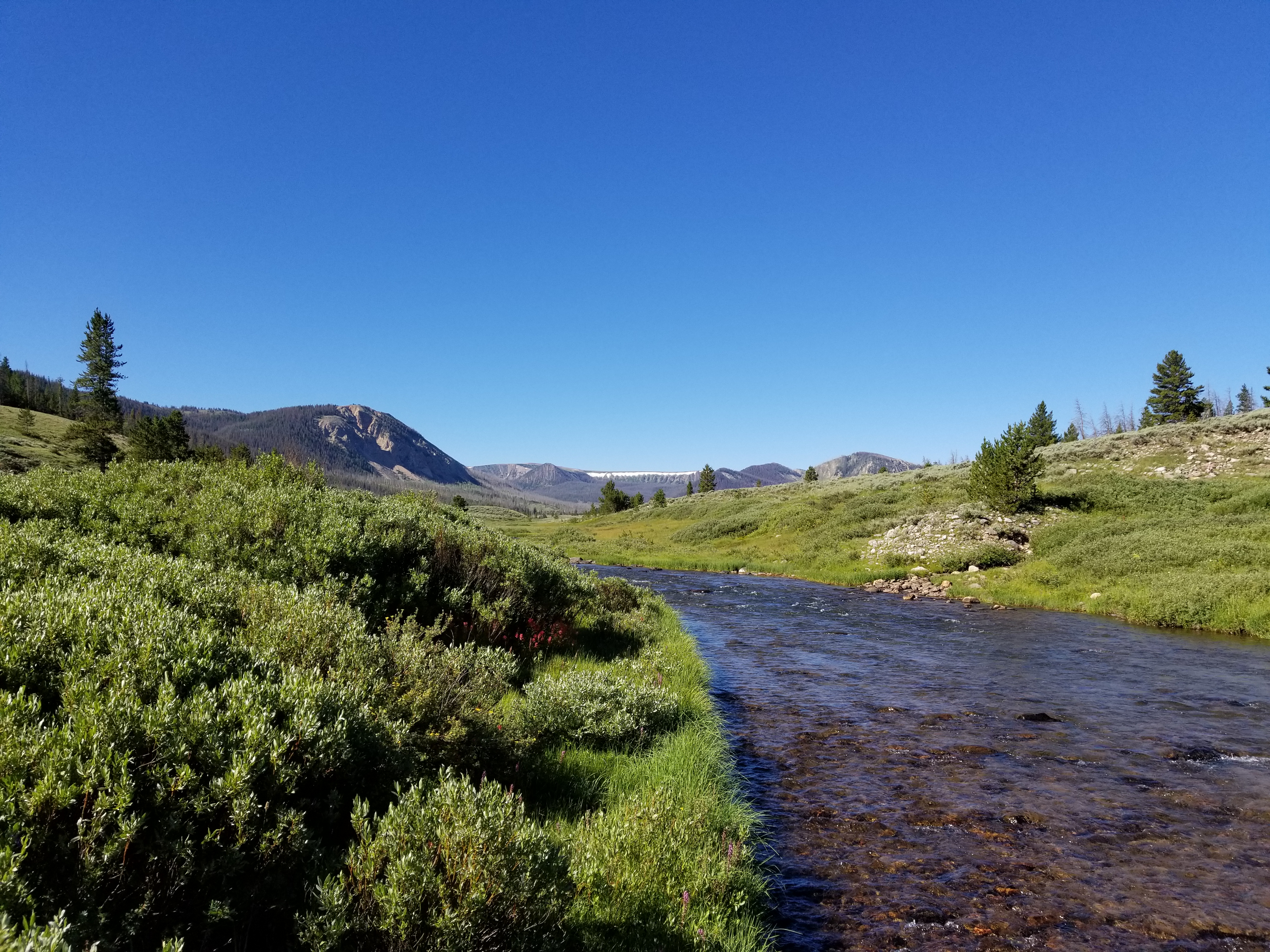20170729_094138