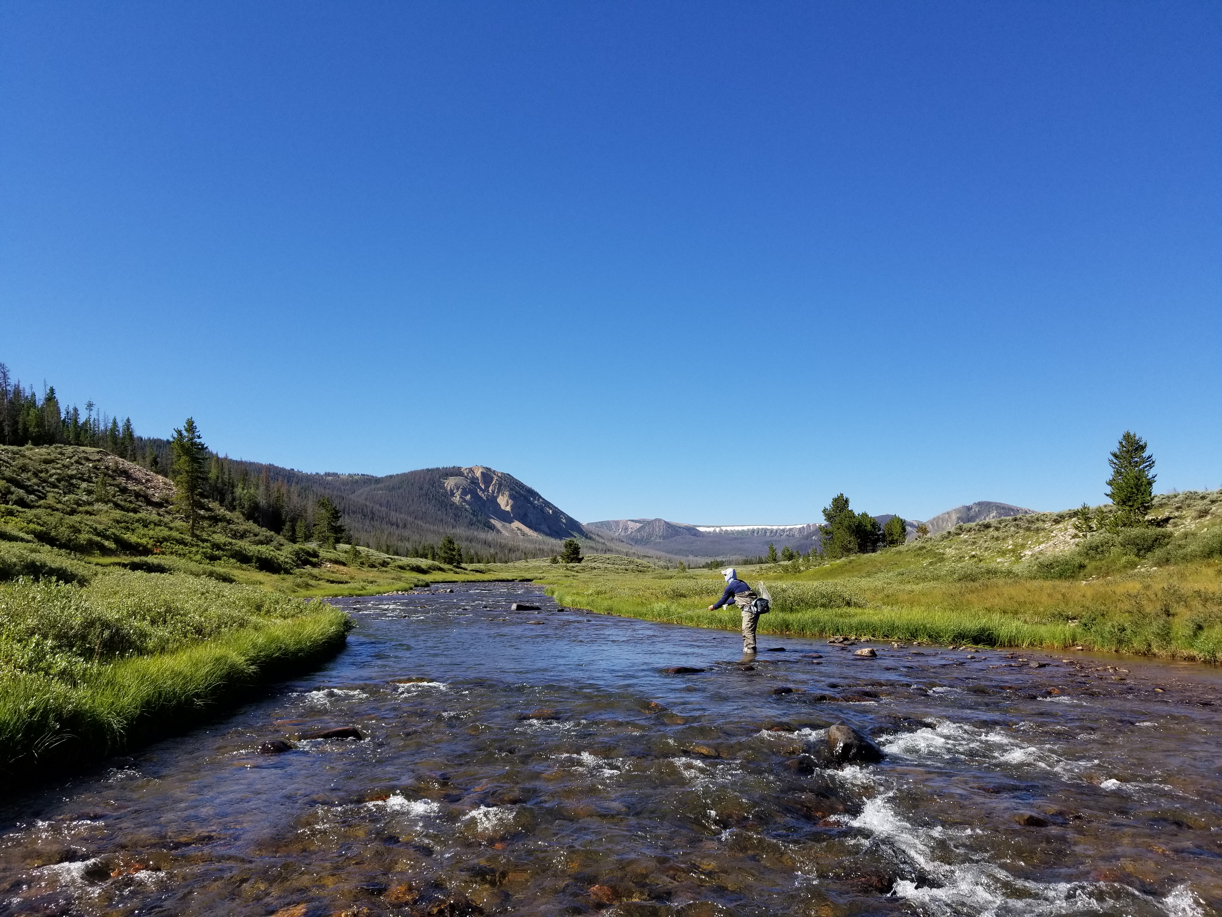 20170729_100420
