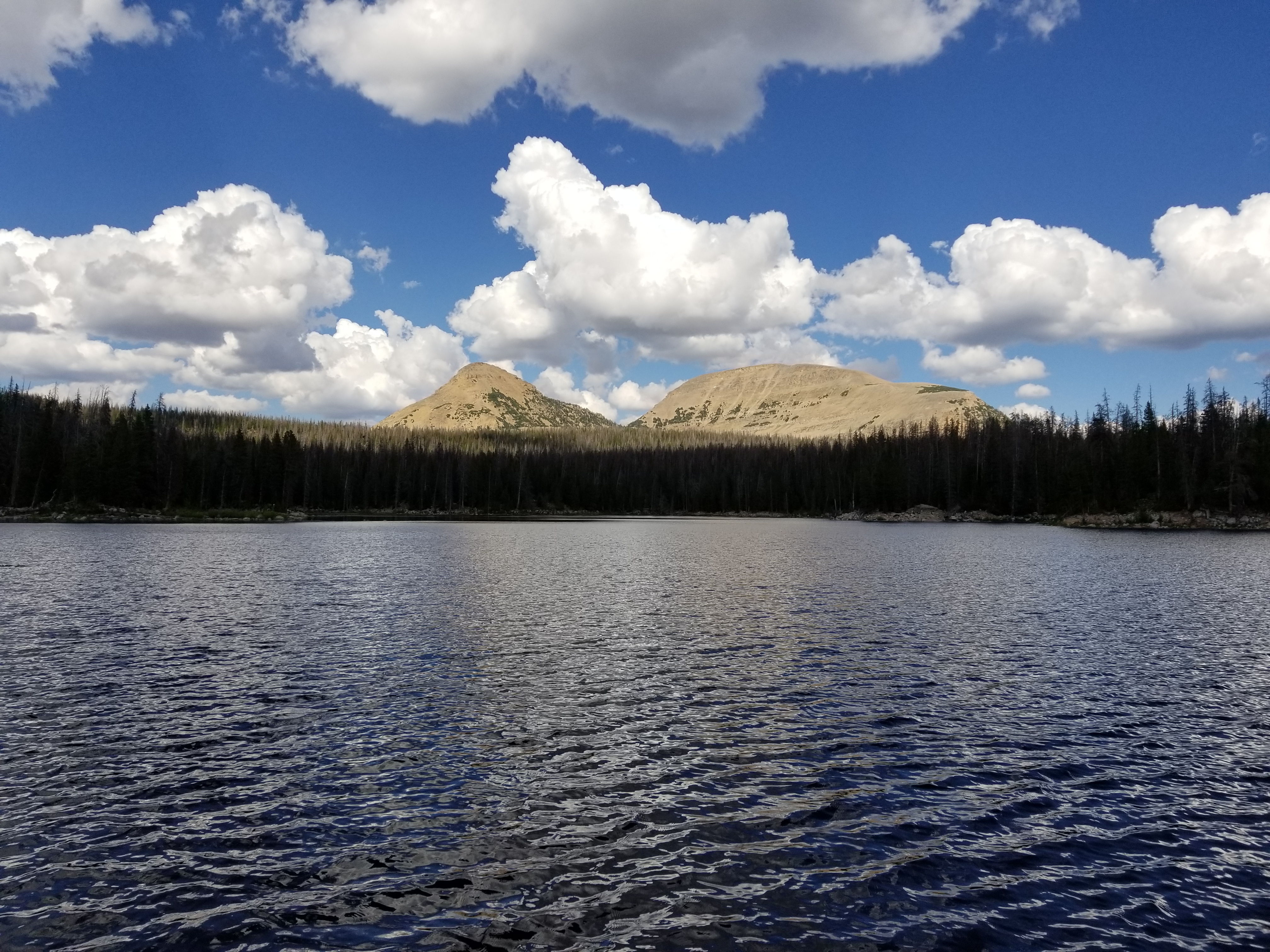 20170729_165129
