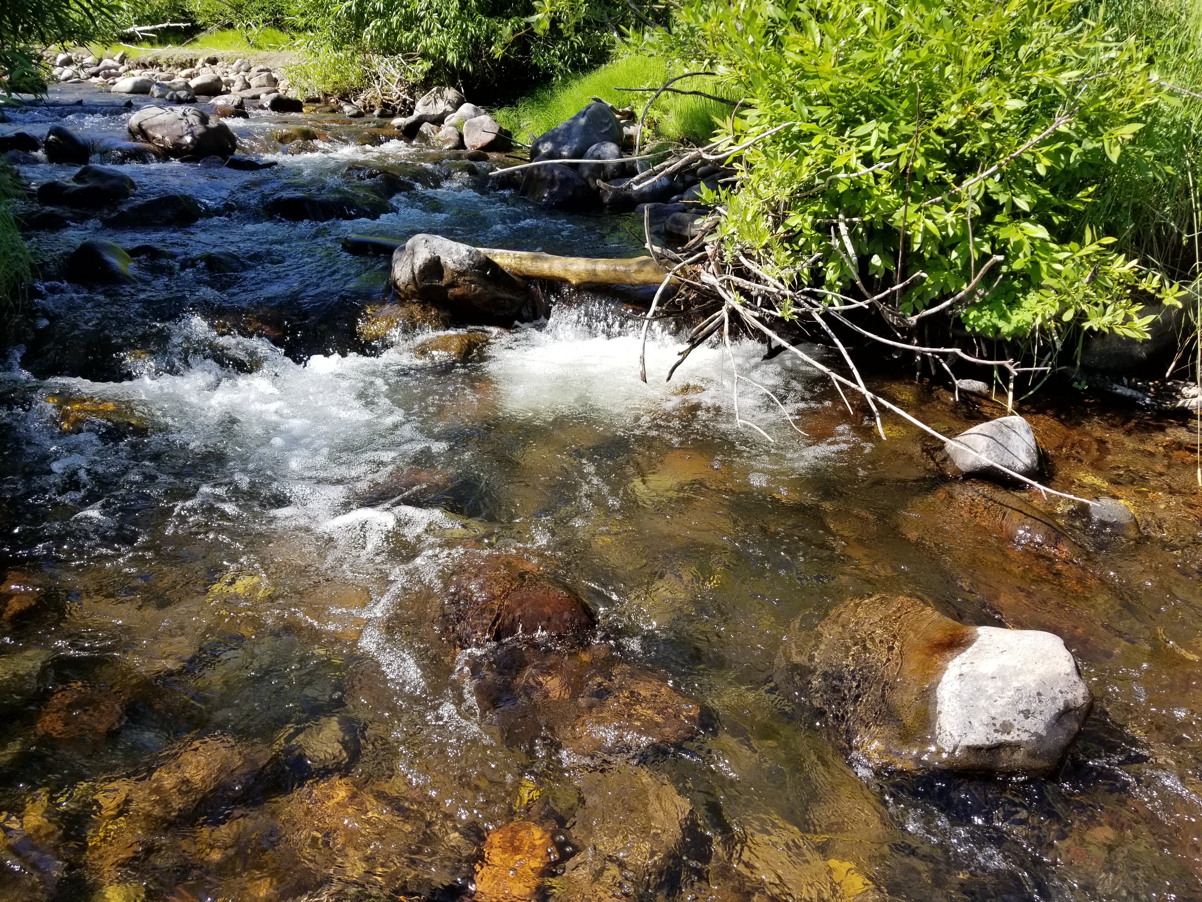 20170731_102451