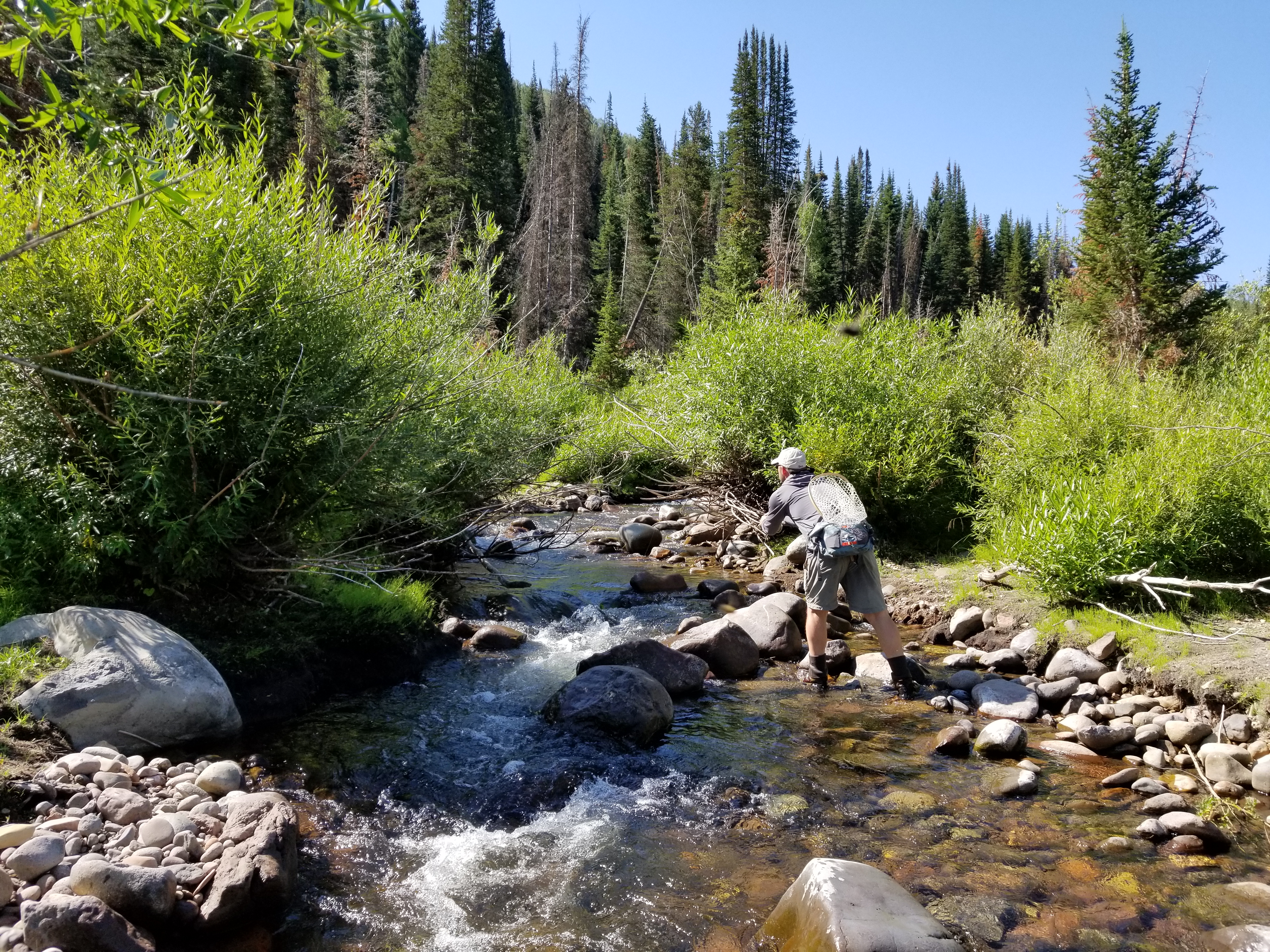 20170731_102831