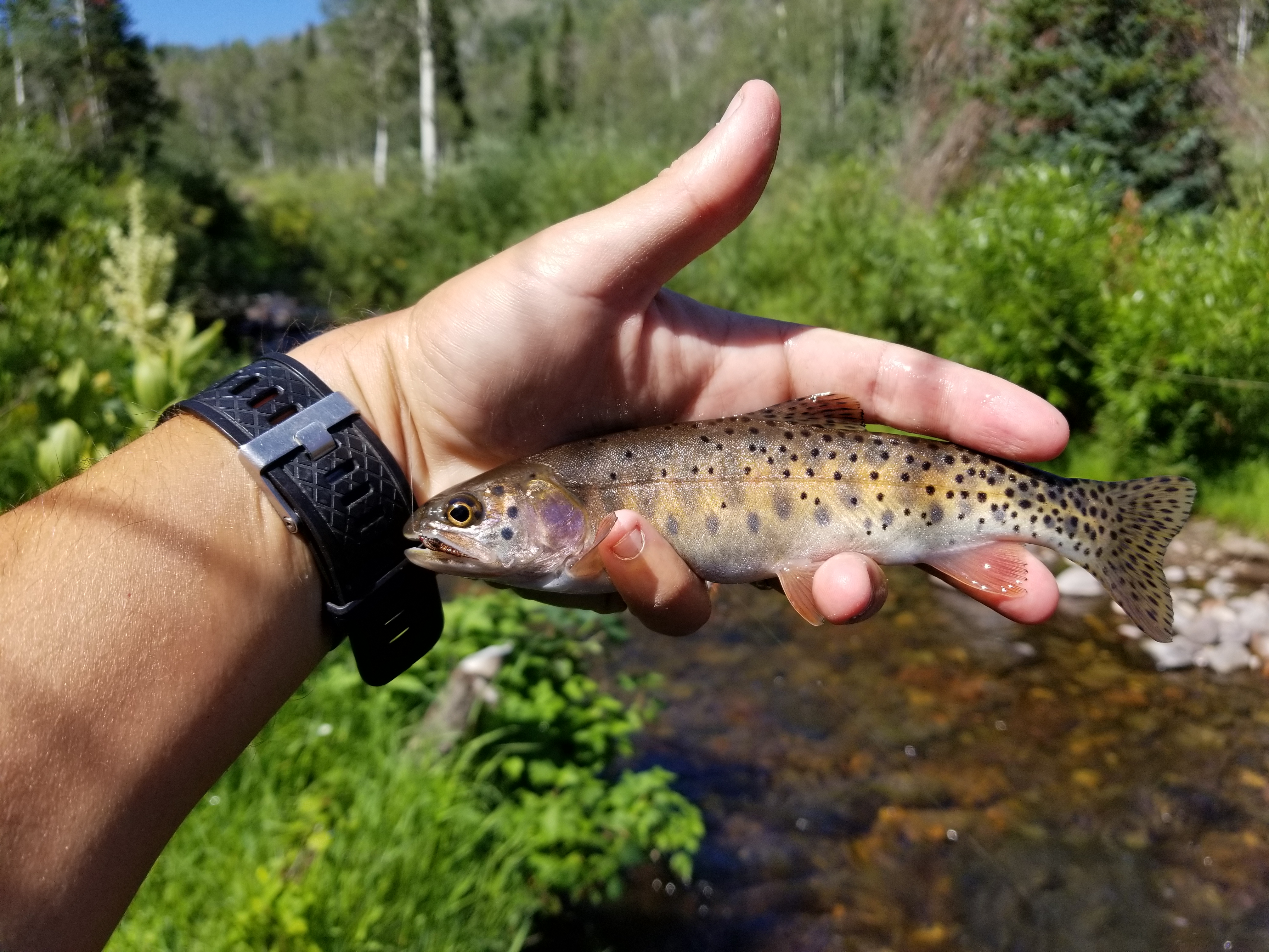 20170731_105744