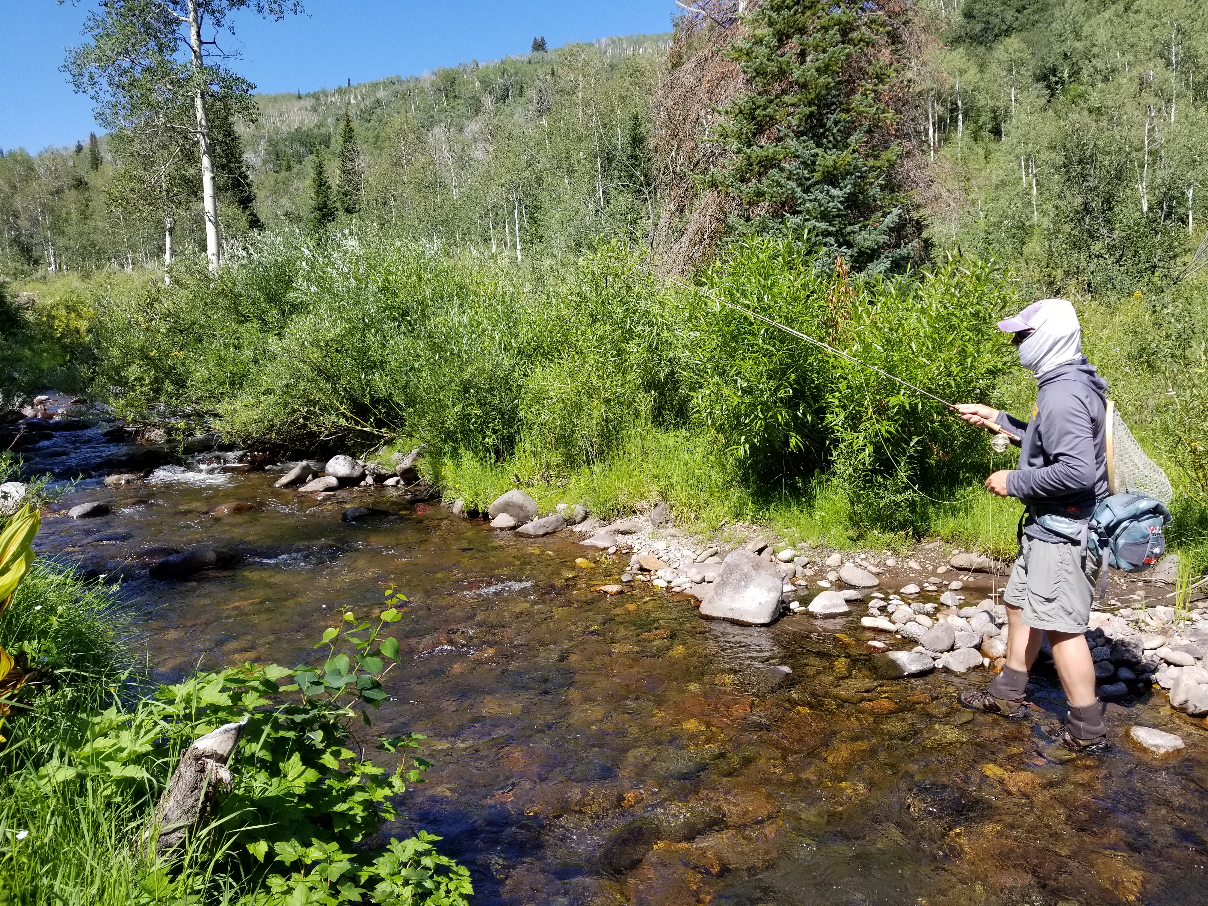 20170731_105918