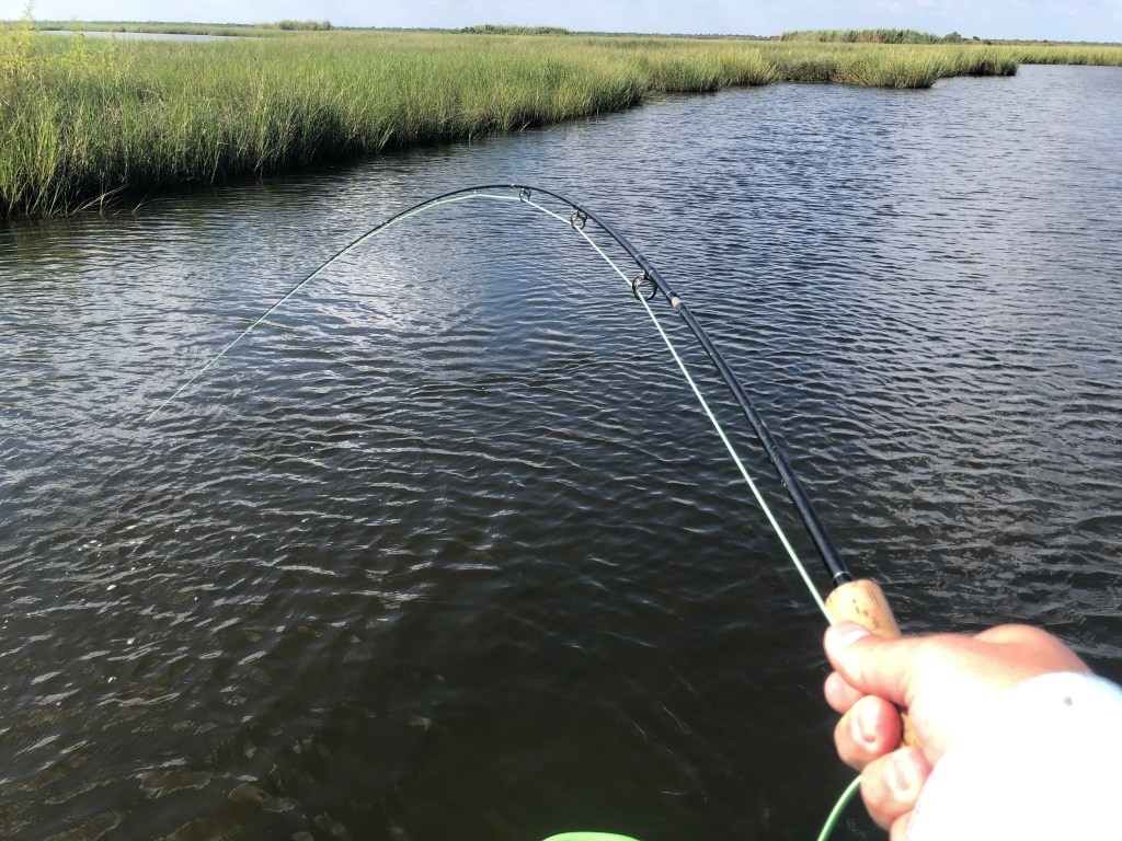 This image has an empty alt attribute; its file name is img_4998.jpg