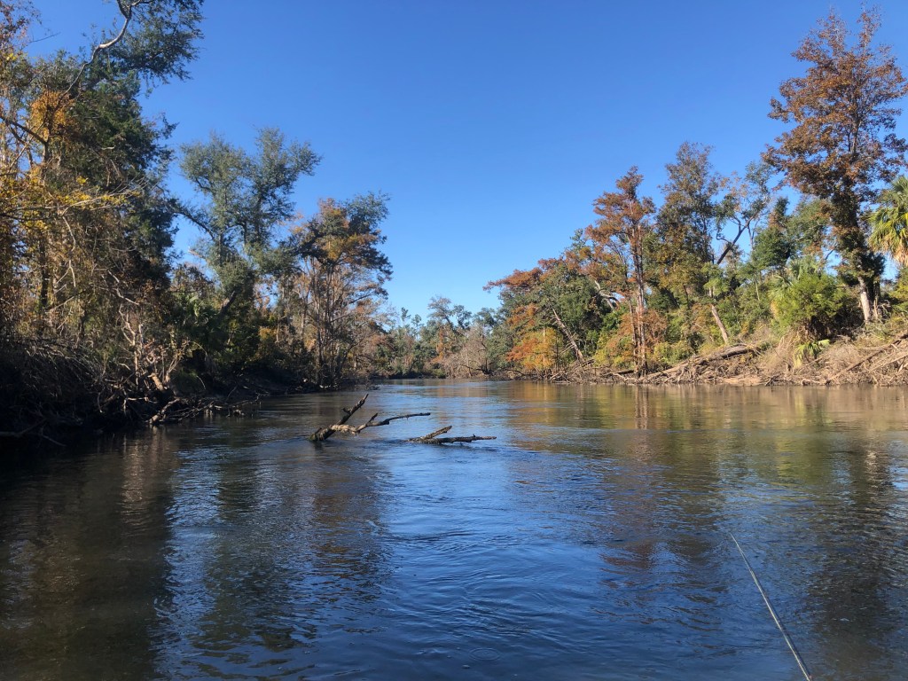 This image has an empty alt attribute; its file name is img_0074.jpg