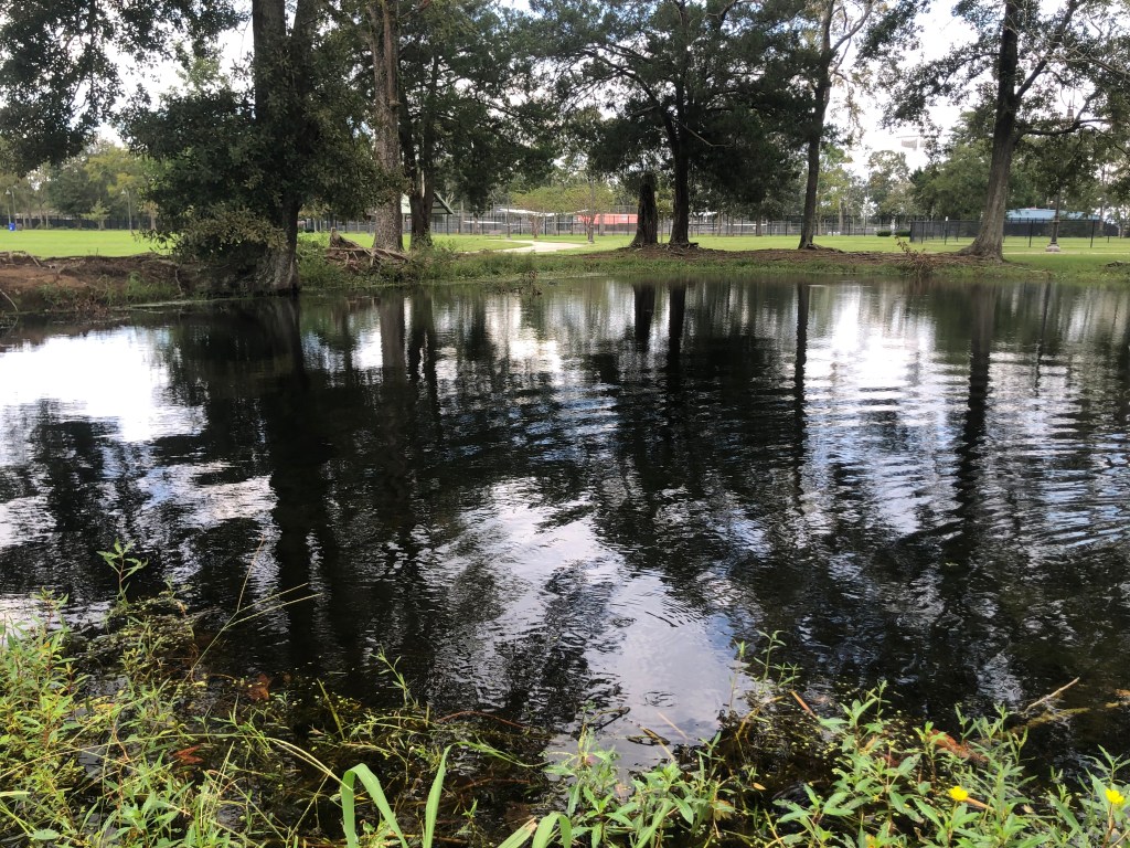 This image has an empty alt attribute; its file name is img_9129.jpg